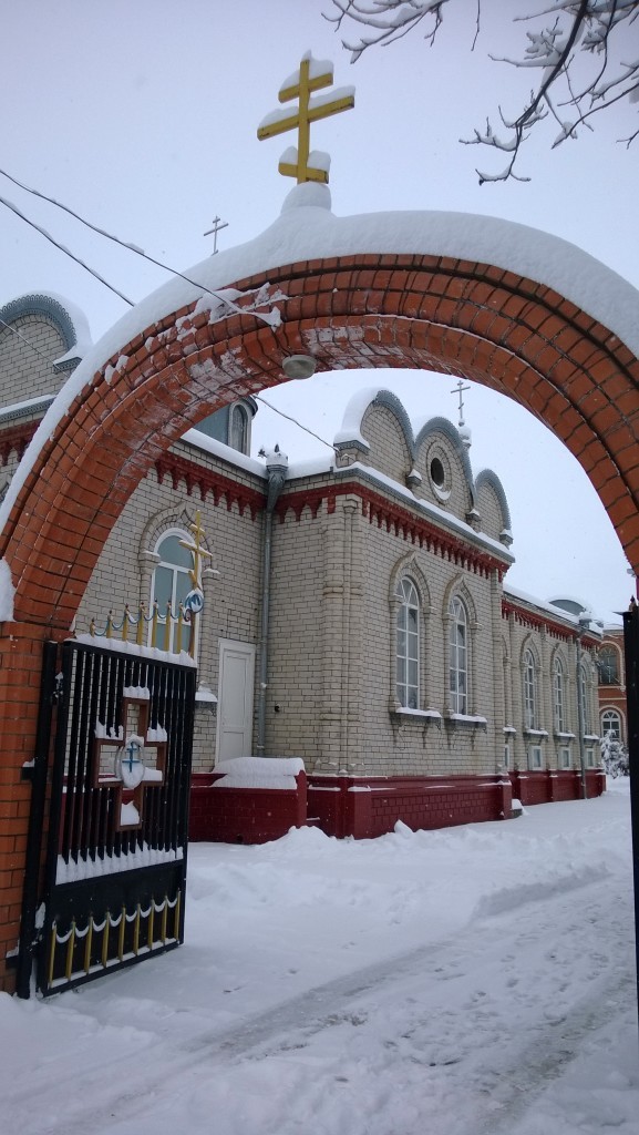 WP_20141231_020